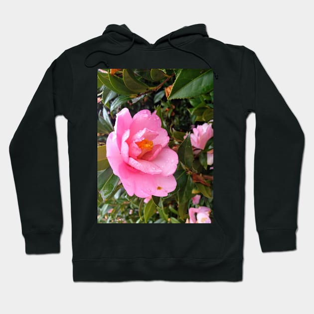 Pink Flower Hoodie by Sophprano